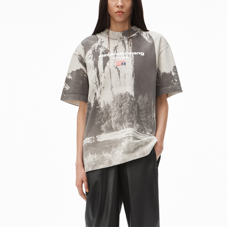 Purchase Alexander Wang SS21 教堂岩圖案灰色短袖T恤 UCC2211419-020