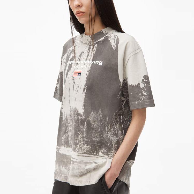 Details for Alexander Wang SS21 教堂岩圖案灰色短袖T恤 UCC2211419-020