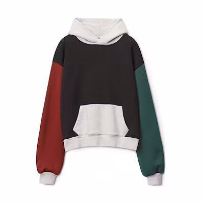 Alexander Wang SS22 Colorblock Logo Embroidered Hoodie Unisex Black. UCC3221524-004