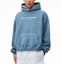 Shop Alexander Wang SS22 Crystal Logo Velvet Hoodie Unisex Blue Pearl UCC2221518-475