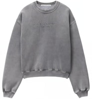 Alexander Wang SS24 Oversized Lettering Crewneck Sweatshirt Unisex Grey UCC22416960-37A Alexander Wang SS24 Oversized Lettering Crewneck Sweatshirt Unisex Grey UCC22416960-37A