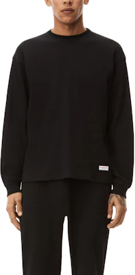 Alexander Wang Unisex Oversized Crewneck Pullover Sweatshirt Long Sleeve UCC4221611-001 Details for Alexander Wang Unisex Oversized Crewneck Pullover Sweatshirt Long Sleeve UCC4221611-001