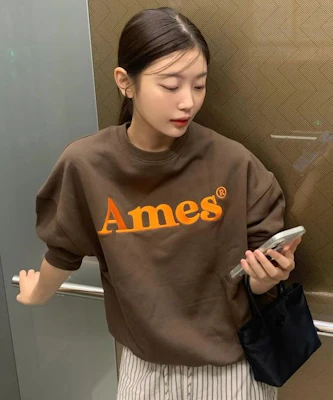 Ames Worldwide Basic Logo Brown Sweatshirt AM2EFUM450ABR Buy Ames Worldwide Basic Logo Brown Sweatshirt AM2EFUM450ABR