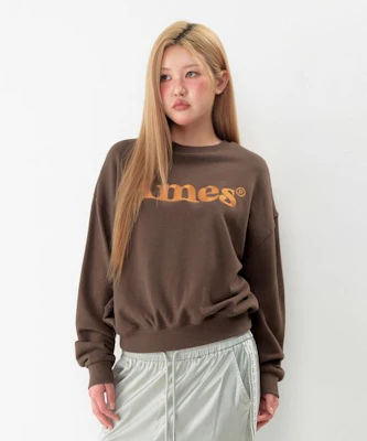 Ames Worldwide Basic Logo Brown Sweatshirt AM2EFUM450ABR 4