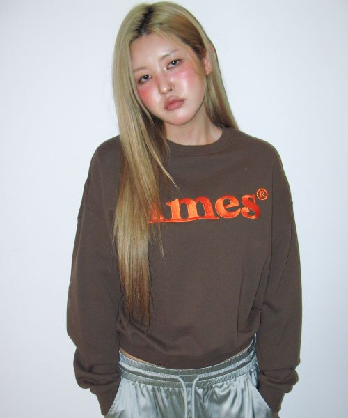 Purchase Ames Worldwide Basic Logo Brown Sweatshirt AM2EFUM450ABR