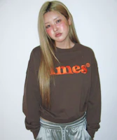 Purchase Ames Worldwide Basic Logo Brown Sweatshirt AM2EFUM450ABR