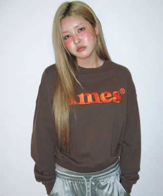 Ames Worldwide Basic Logo Brown Sweatshirt AM2EFUM450ABR Purchase Ames Worldwide Basic Logo Brown Sweatshirt AM2EFUM450ABR