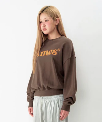 Ames Worldwide Basic Logo Brown Sweatshirt AM2EFUM450ABR 2