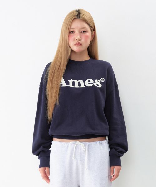 Sizing Ames Worldwide Basic Logo Sweatshirt Navy Blue AM2EFUM450ANV