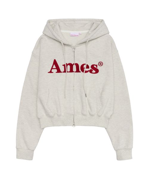 Order AMES WORLDWIDE Basic Logo Zip-Up Hoodie Oatmeal AM2EFUM481AOT
