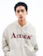 Purchase AMES WORLDWIDE Basic Logo Zip-Up Hoodie Oatmeal AM2EFUM481AOT