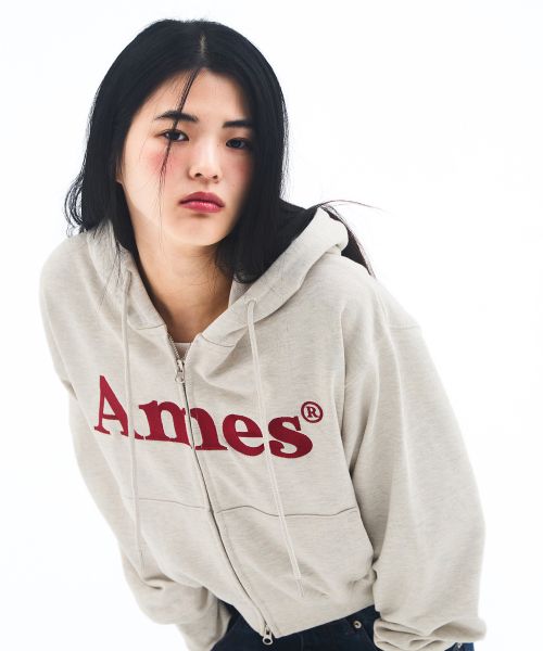 Details for AMES WORLDWIDE Basic Logo Zip-Up Hoodie Oatmeal AM2EFUM481AOT
