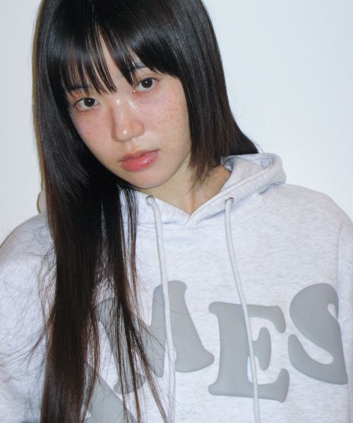 Shop Ames Worldwide Big Typo Hoodie Grey Unisex Casual Wear AM2EFUM400AGR