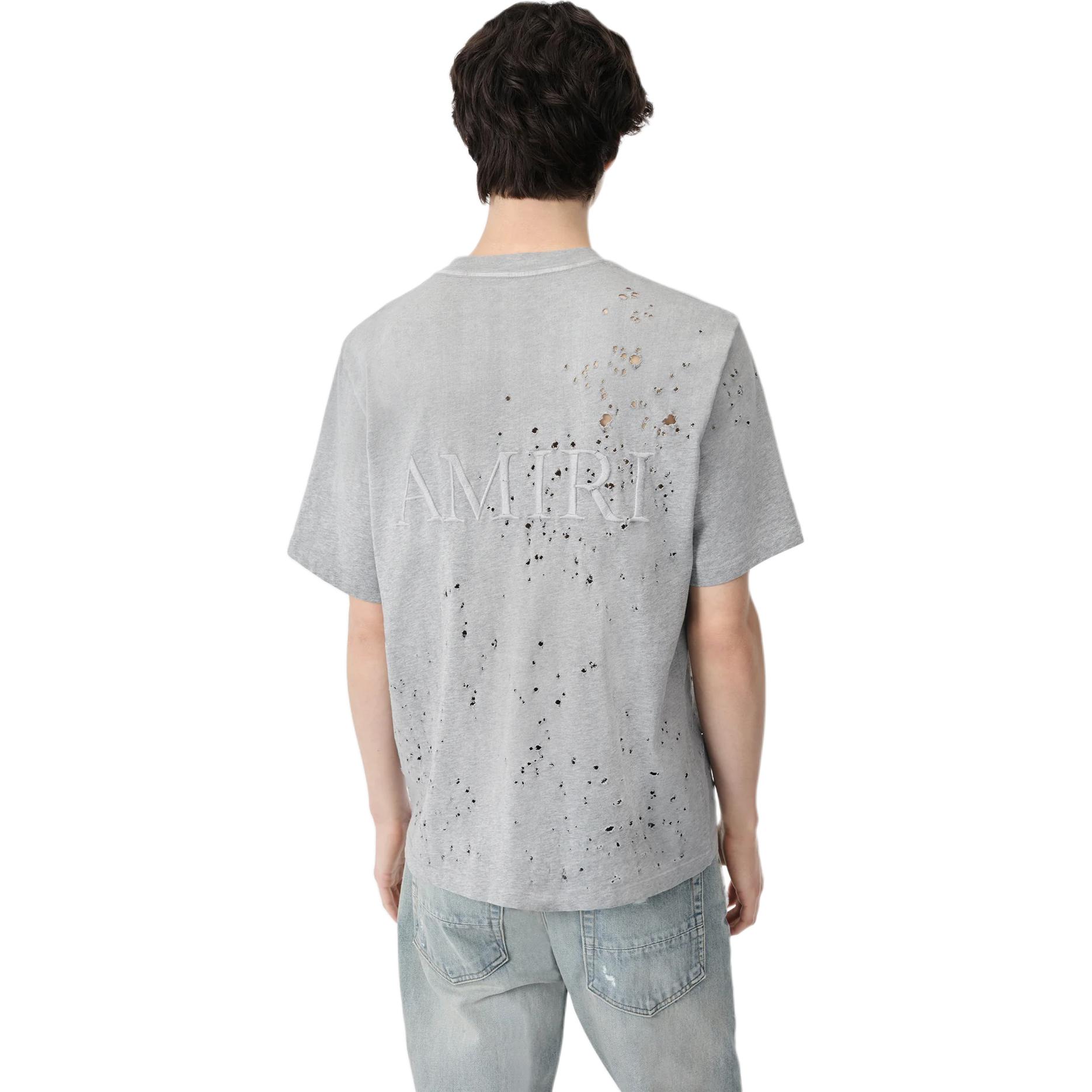 Shop AMIRI FW24 灰色核心散彈刺繡標誌圓領T恤。 AMJYTE1059-030