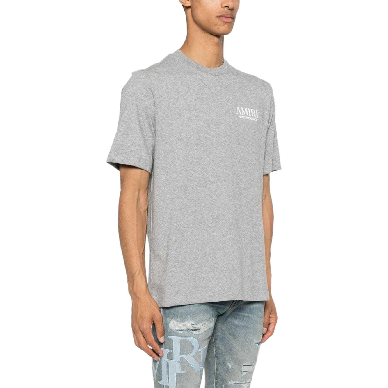 Purchase アミリ グレー FW24 ボーンロゴ グラフィックバック 半袖Tシャツ レギュラーフィット AMJYTE1075-GREY