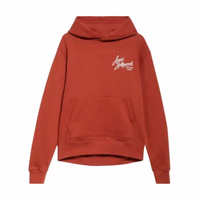 AMIRI Logo Hoodie Long Sleeve in Burnt Orange AMJYHD1104-BURN