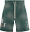 Buy AMIRI 復古虎紋標誌抽繩短褲 綠色 男款。 PF23MJP003-310