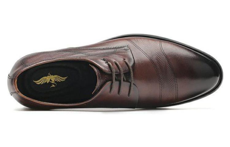 Aokang Kunpeng Series 'Brown' 圖 4