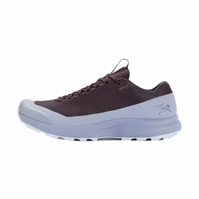 Arc'teryx Aerios FL 2 GTX 'Brown Grey'
