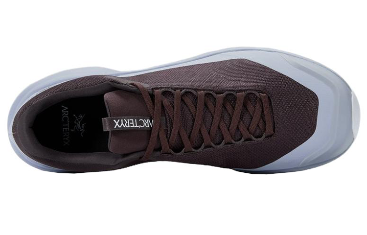 Arc'teryx Aerios FL 2 GTX 'Brown Grey' 圖 2