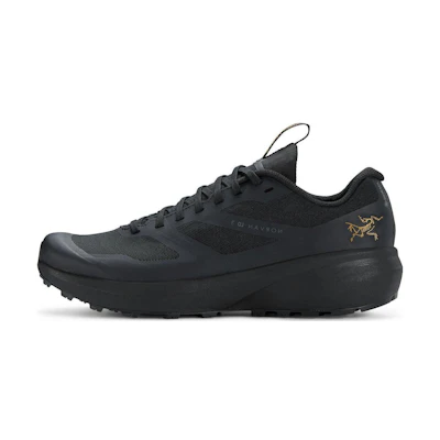 Arc'teryx Norvan LD 3 GORE-TEX 'Black'
