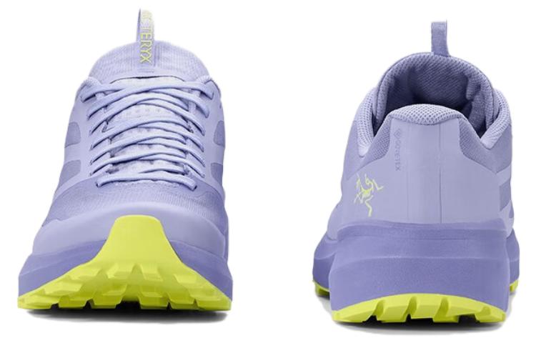 Shop Arc'teryx Norvan LD 3 GTX 'Ungu' Sepatu Lari L08429400