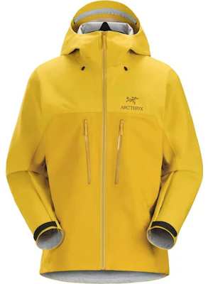 始祖鳥 Alpha AR 防水防風 Gore-Tex 連帽外套 適合健行攀登 25434 4