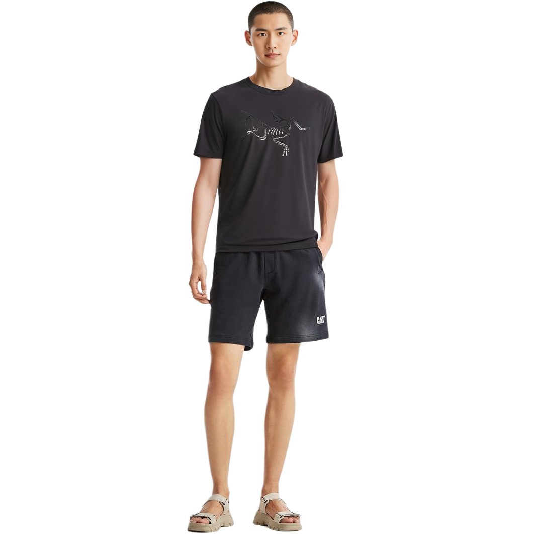 Lookbook アークテリクス Arc''teryx Envoy Arc''Word グラフィックTシャツ マーベリック/マグマ 半袖 19025