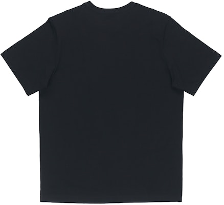 Arcteryx Arc'teryx Archaeopteryx Logo Retro Casual Short Sleeve T-Shirt 24024 12