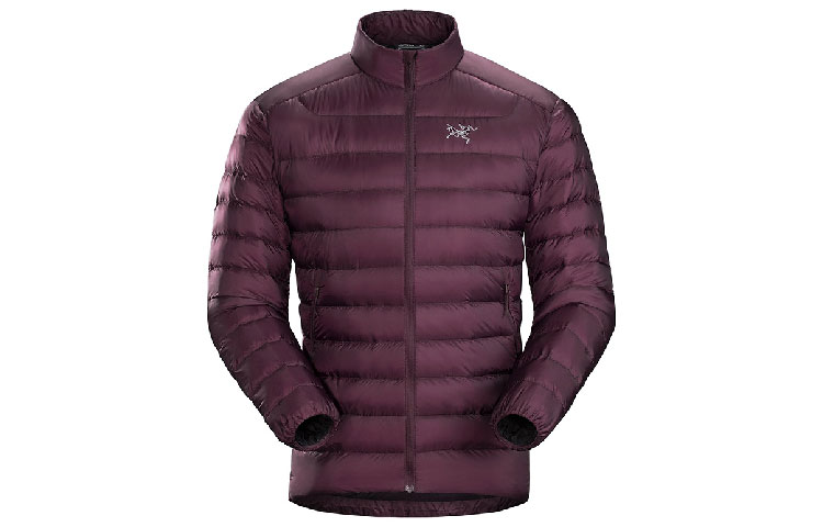 Arcteryx Arc'teryx Cerium LT 850-Fill Down Jacket Lightweight Windproof for Men 18014 圖 8