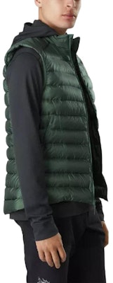 Arcteryx Arc'teryx Cerium LT Black Lightweight Down Vest for Outdoor & Casual Wear. 29924 4