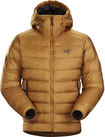 arcteryx-arc-teryx-cerium-sv-850-down-jacket-windproof-waterproof-warm-hooded-winter-coat-27307