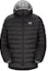 Cheap Arcteryx Arc'teryx Cerium SV Hoody Insulated Down Jacket 29672