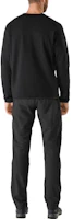 Purchase Arcteryx Arc'teryx Gamma AR Softshell Pants Hiking Trekking Outdoor Gear. 29701