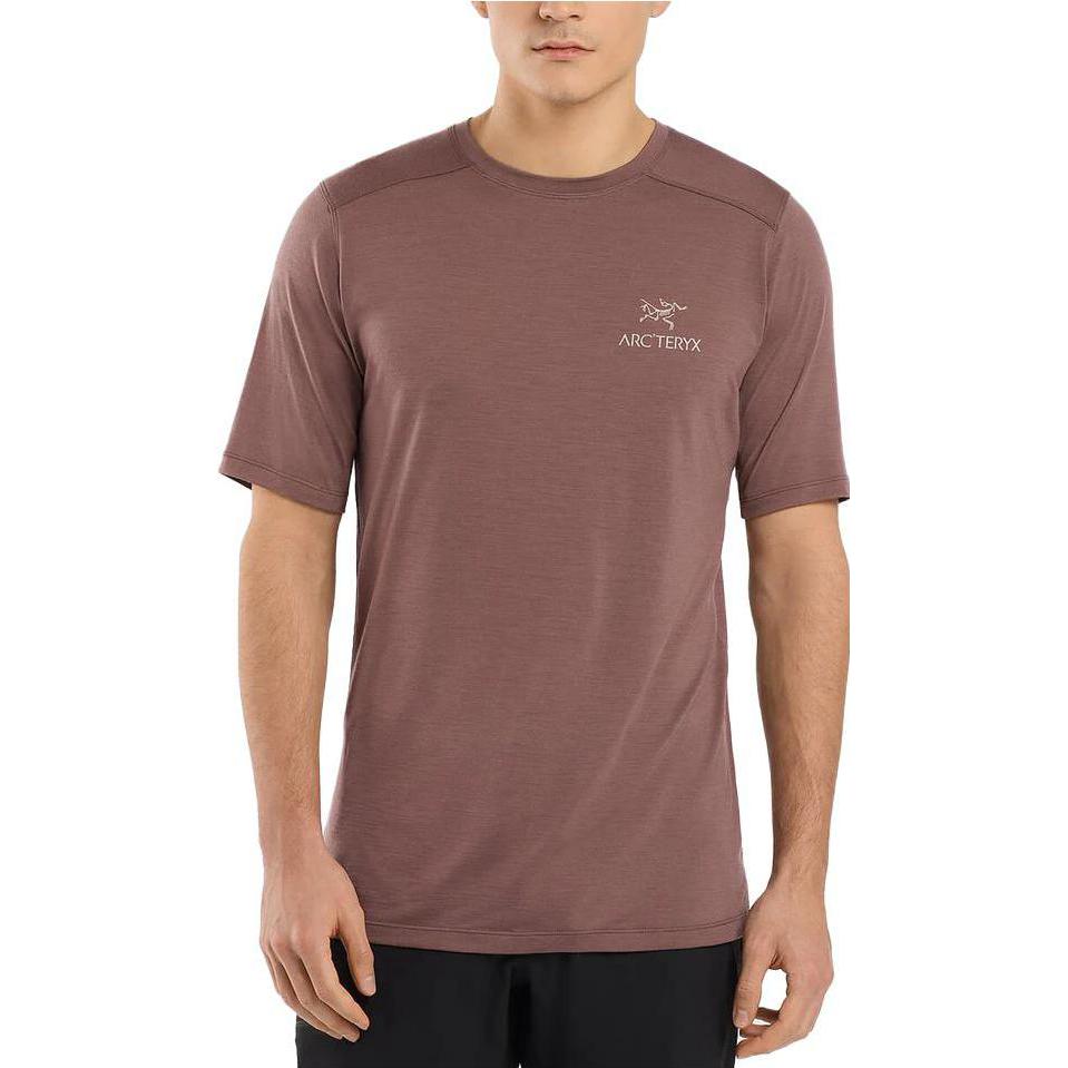 Arcteryx Arc'teryx Ionia Merino Wool  Slim-Fit Moisture-Wicking Logo T-Shirt. 30713 圖 14