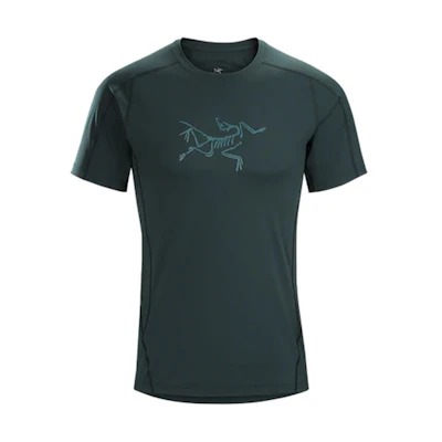 Arcteryx Arc'teryx Ionia Merino Wool Phasic Evolution Logo Crewneck T-Shirt 18920