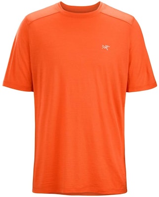 Arcteryx Arc'teryx SS23 Ionia Merino Wool Solid Casual Graphic Crewneck Tee Men 30573 3
