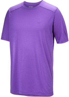 Arcteryx Arc'teryx SS23 Ionia Merino Wool Solid Casual Graphic Crewneck Tee Men 30573 5