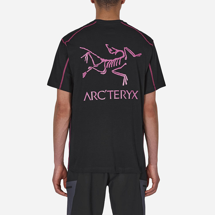 Shop Arcteryx SYSTEM_A Copal Bird Logo Retro Crewneck Kaos Pendek. 28491
