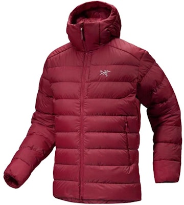 Arcteryx Arc'teryx THORIUM Hoody 750 Fill Down Jacket Outdoor Insulated Coat 29695 4