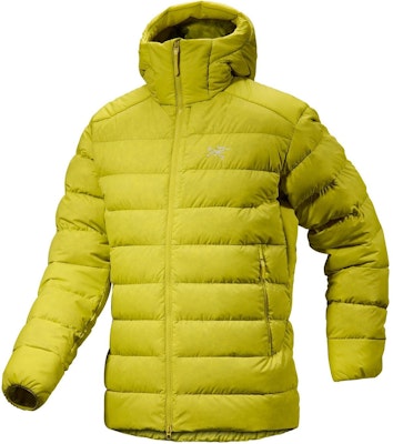 Arcteryx Arc'teryx THORIUM Hoody 750 Fill Down Jacket Outdoor Insulated Coat 29695 5