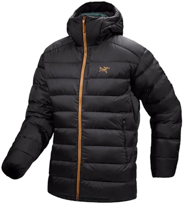 Arcteryx Arc'teryx THORIUM Hoody 750 Fill Down Jacket Outdoor Insulated Coat 29695 2