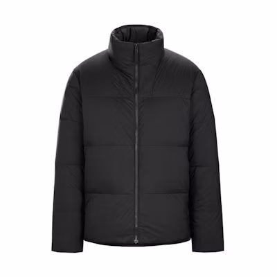 Arcteryx Arc'teryx Veilance Conduit Down Winter Gray Goose Down Jacket 29742