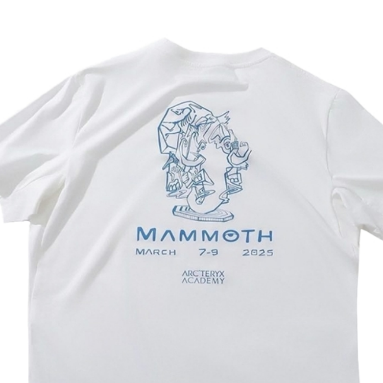 Shop Arcteryx Arc'teryx x Mammoth Academy SS25 California Exclusive Logo Crewneck Tee White X000009264