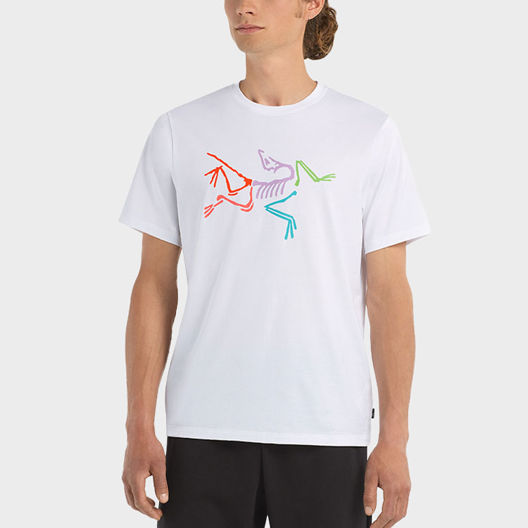 Lookbook アークテリクス アーケオプテリクス ポリクローム レトロロゴ メンズTシャツ 29802