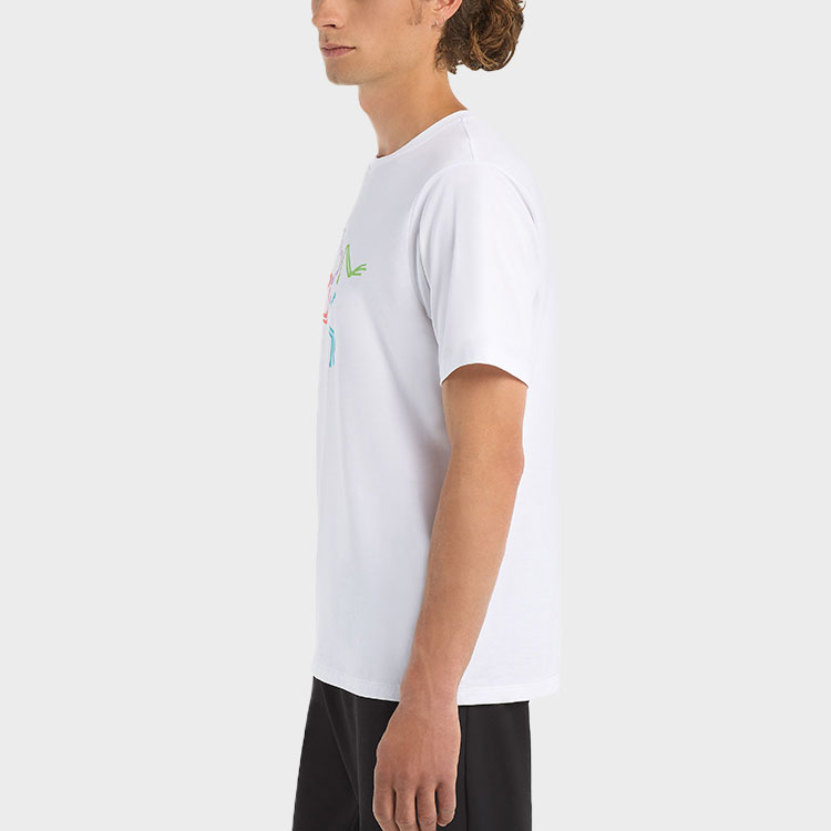 Purchase アークテリクス アーケオプテリクス ポリクローム レトロロゴ メンズTシャツ 29802