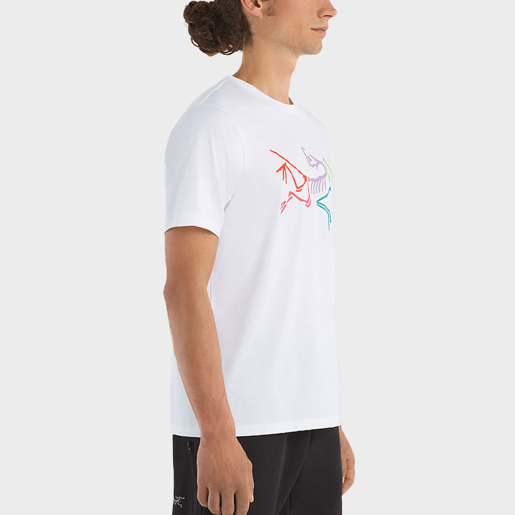 Details for アークテリクス アーケオプテリクス ポリクローム レトロロゴ メンズTシャツ 29802