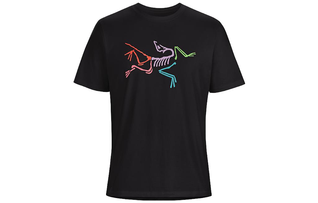 Sizing アークテリクス アーケオプテリクス ポリクローム レトロロゴ メンズTシャツ 29802