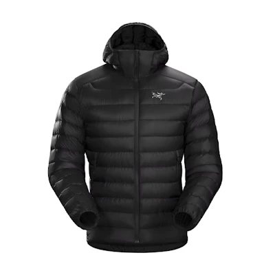 Arcteryx Cerium LT Lightweight Down Jacket with Hood. 29923