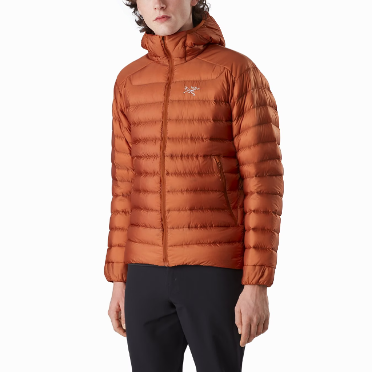 Arcteryx Cerium LT Lightweight Down Jacket with Hood. 29923 圖 13